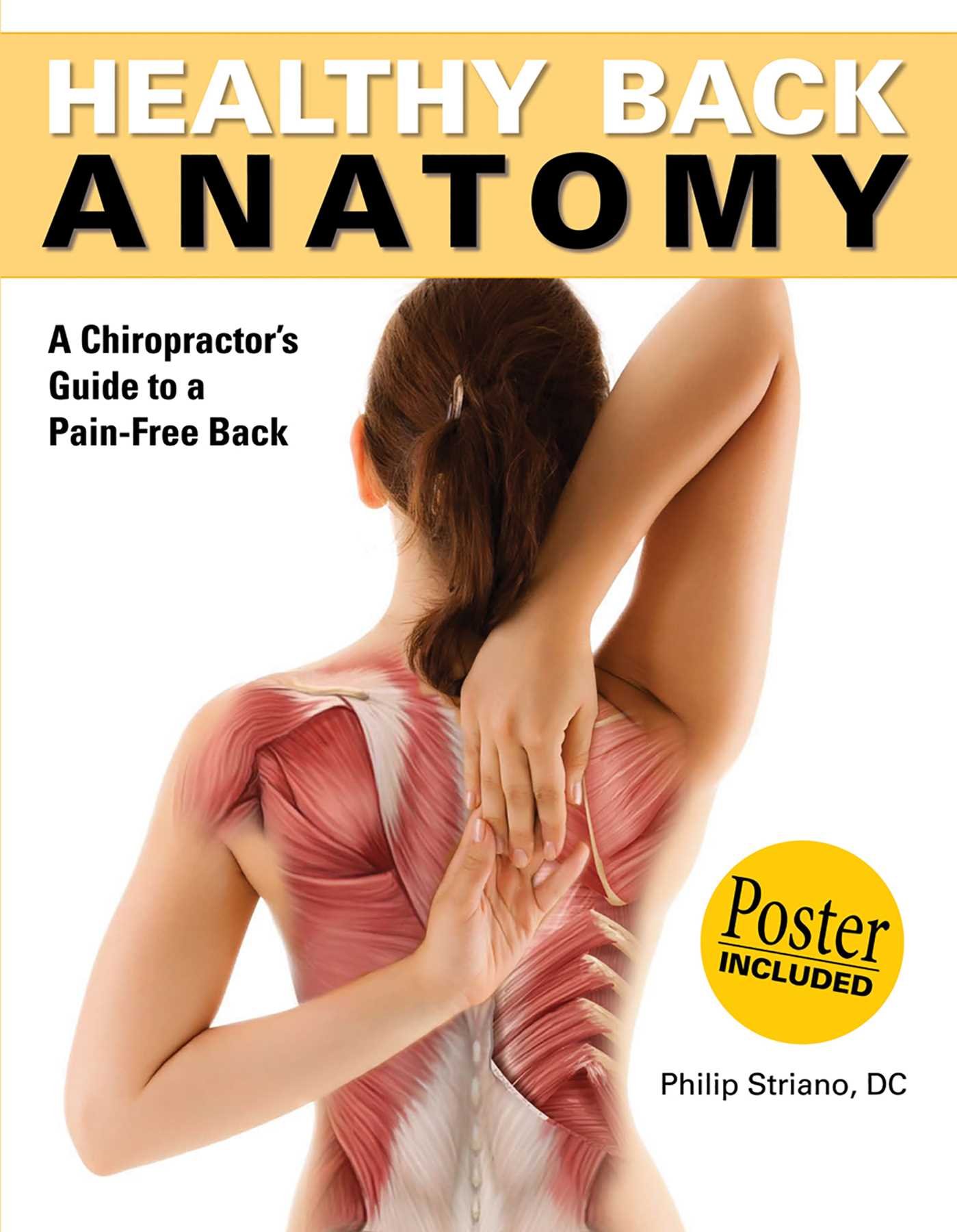 Healthy Back Anatomy - Comprehensive Guide to Spine Structure & Posture Support | Perfect for Chiropractors, Yoga Instructors & Office Workers