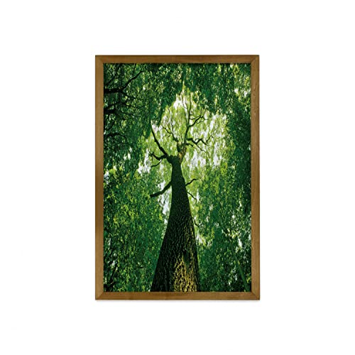 Green Pale Green Brown