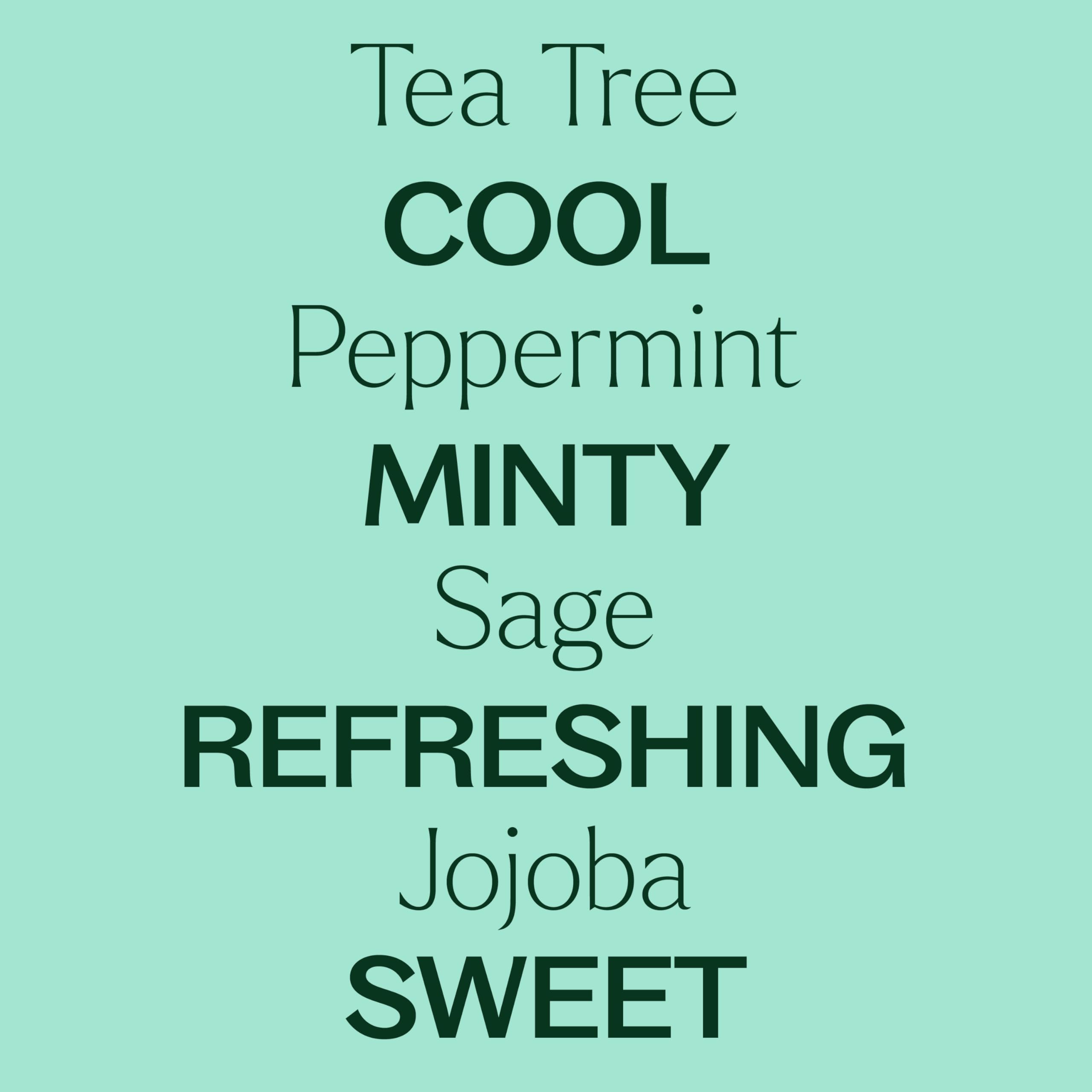Plant Therapy Tea Tree Body Lotion with Aloe & Shea (8 oz) & Tea Tree Peppermint Essential Oil Body Wash (16 oz) - Sulfate-Free, All Skin Types, Men & Women - Perfect for Daily Skincare & Aromatherapy Relaxation