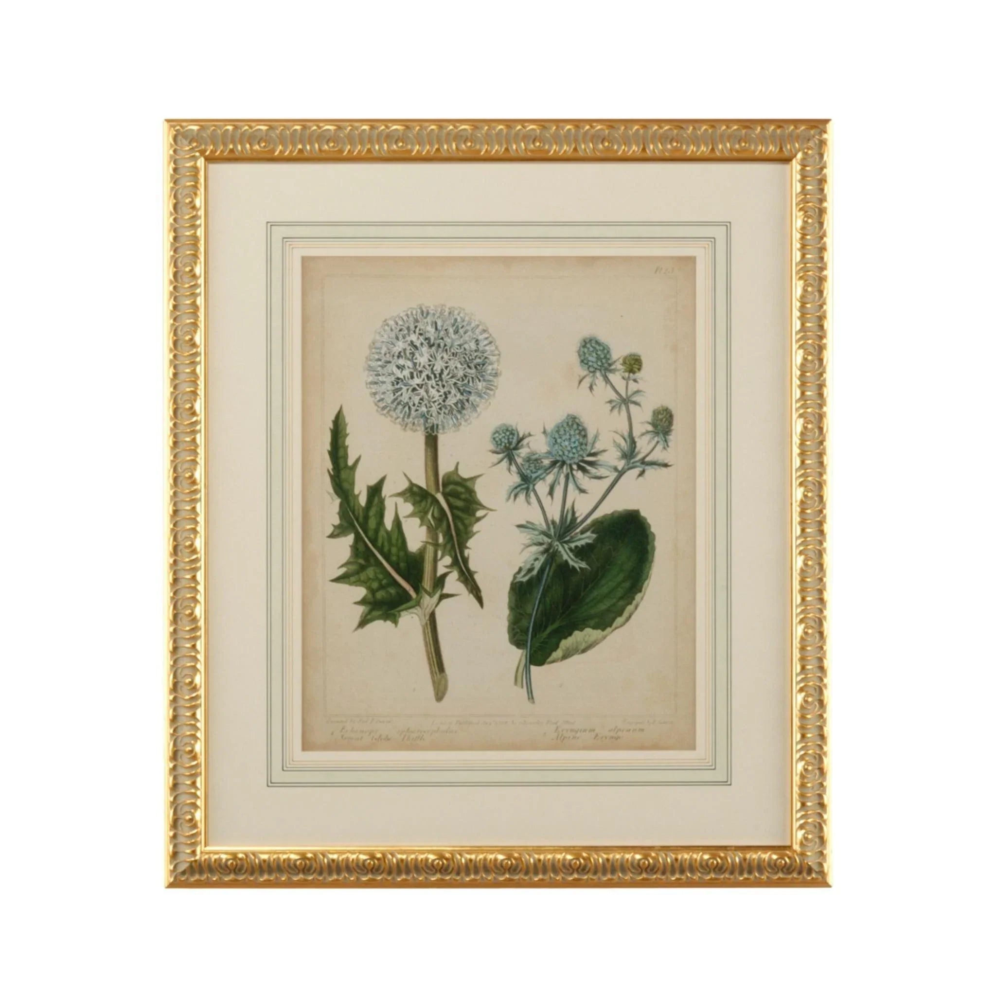 Cottage Botanical Florals III Framed Wall Art - Vintage Floral Print for Home Decor, Living Room, Bedroom & Office - Perfect Gift for Housewarming & Wedding