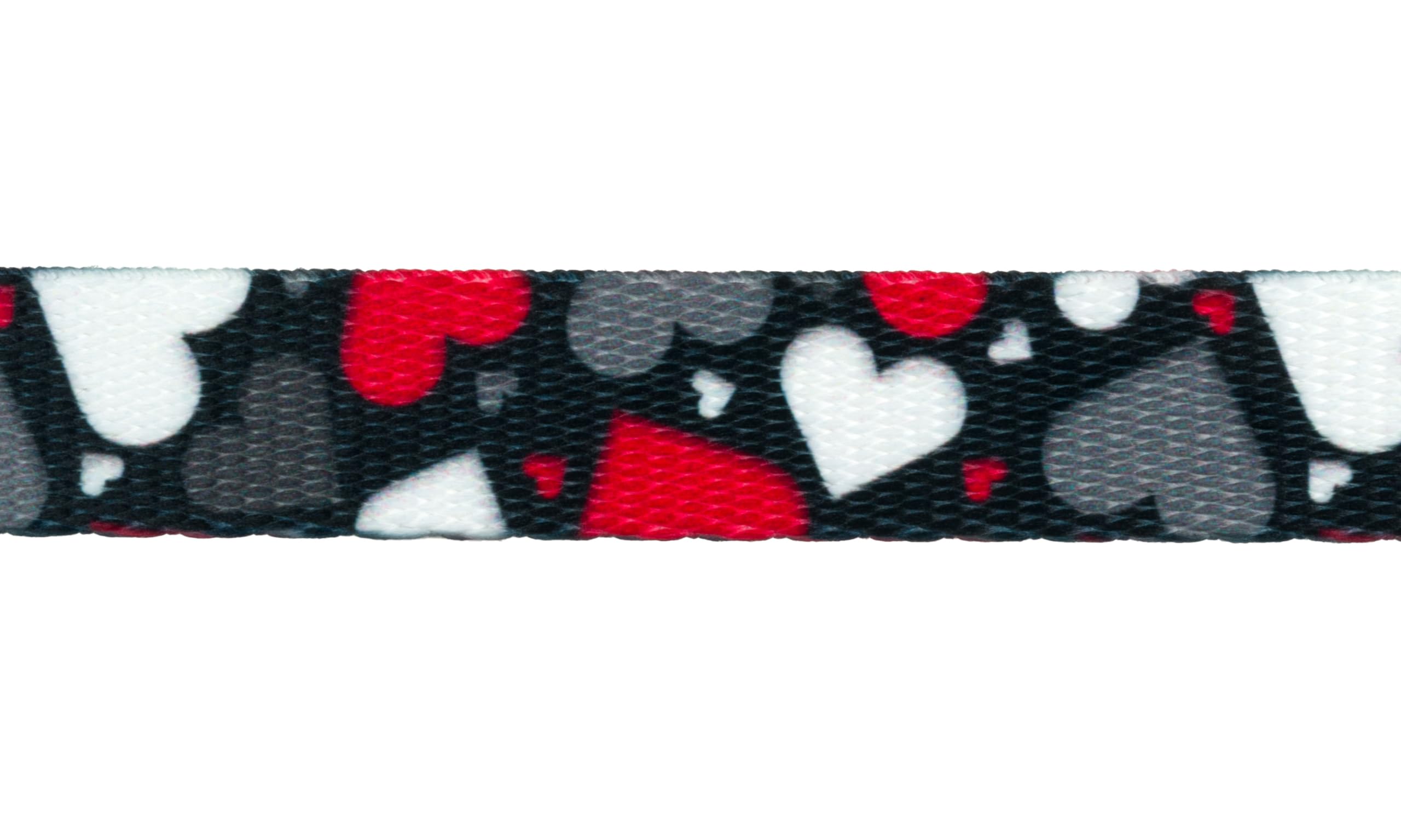 Country Brook Design - Be Mine Polyester Webbing Dog Collar & Leash Set - Valentine's Day Pet Accessories for Small Medium Dogs - Perfect for Walks, Training & Gifts