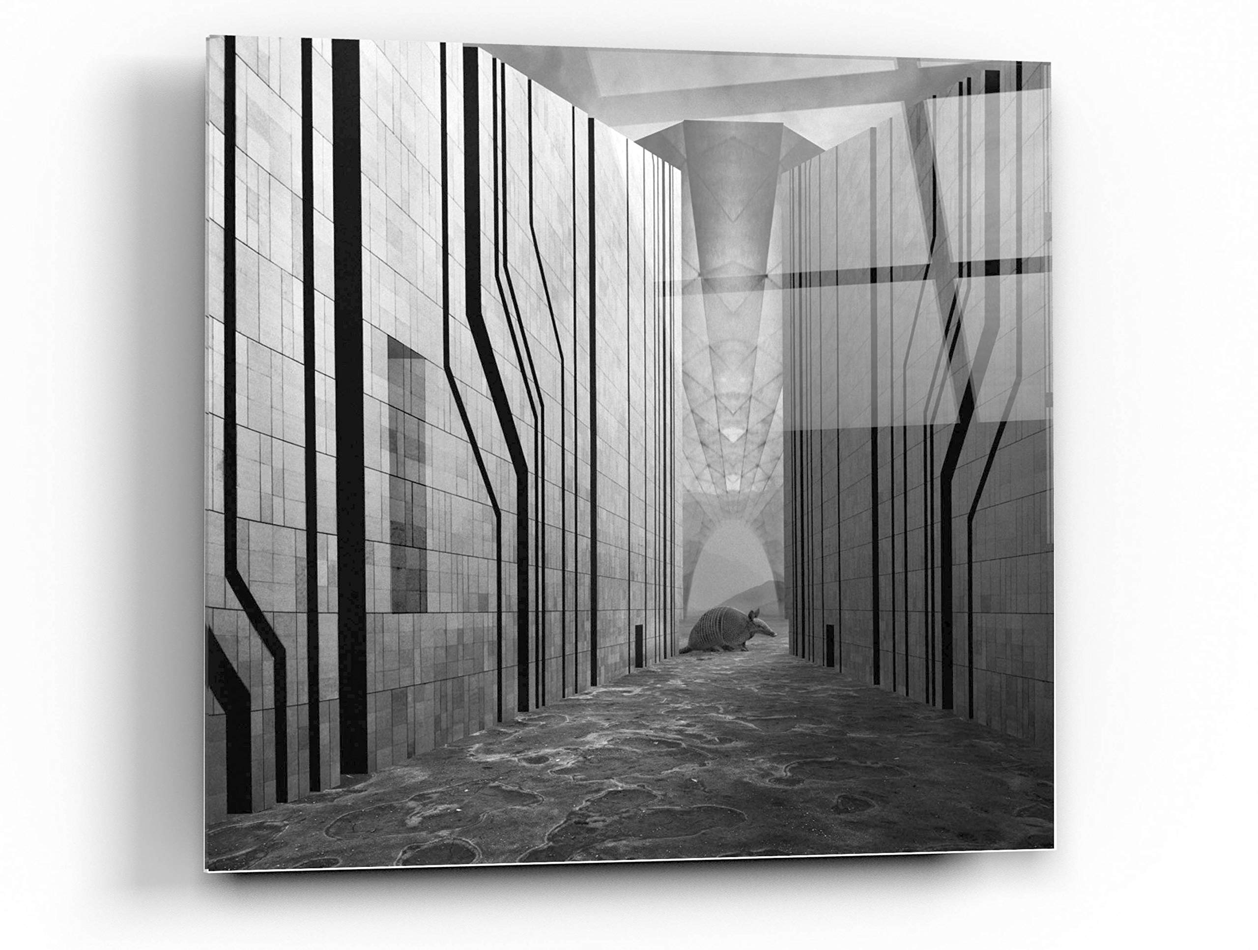 Epic 'Armadillo' Acrylic Glass Wall Art by Dariusz Klimczak - 36x36 Inches Modern Home Decor for Living Room, Bedroom & Office