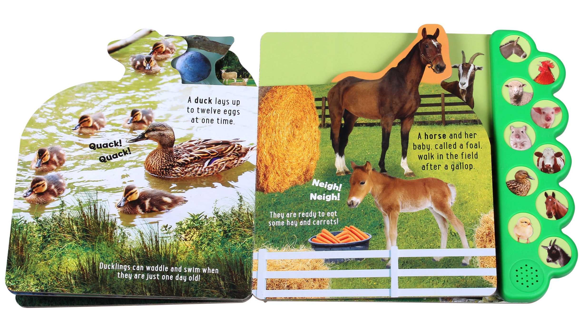 Discovery: Moo on the Farm! - Interactive 10-Button Sound Book for Kids | Animal Sounds Learning Toy for Toddlers | Perfect for Storytime, Preschool Education & Early Childhood Development