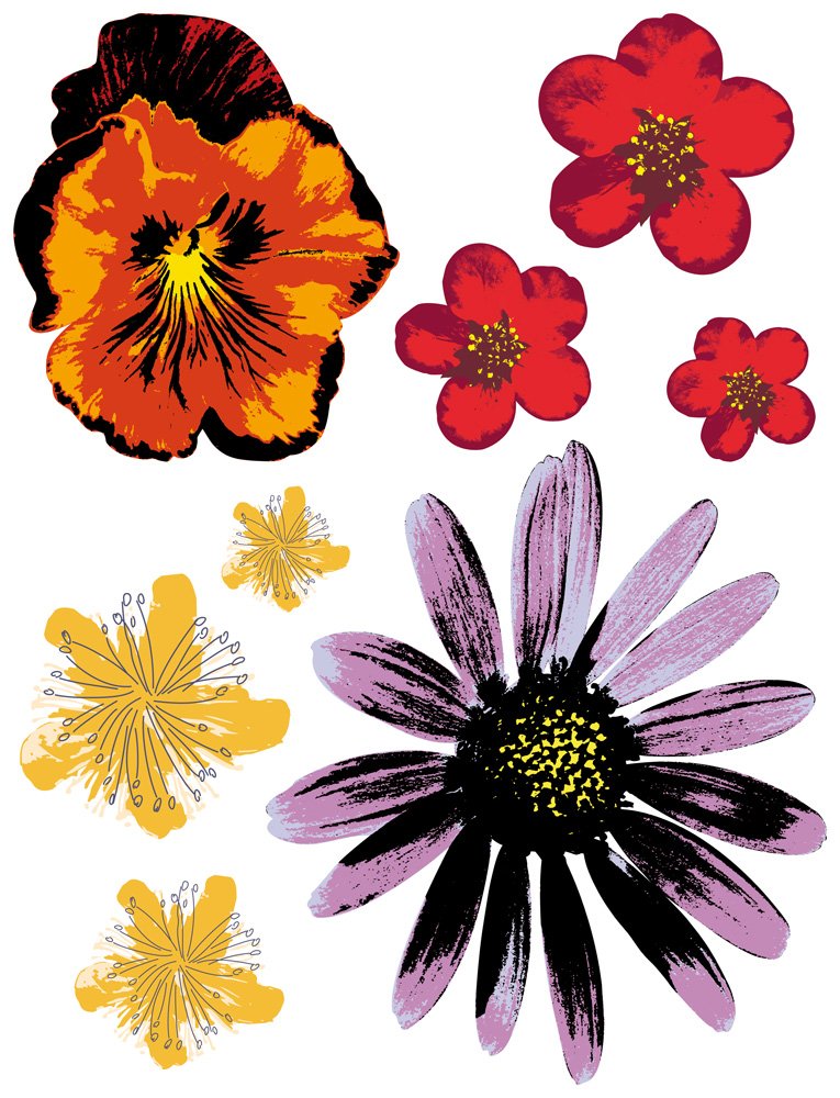 Brewster Spirit 350-0164 Peel & Stick Painted Flowers European Wall Decals - Removable Floral Wall Stickers for Home Decor, Nursery, Bedroom & Living Room