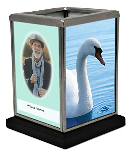Song of Swan Theme