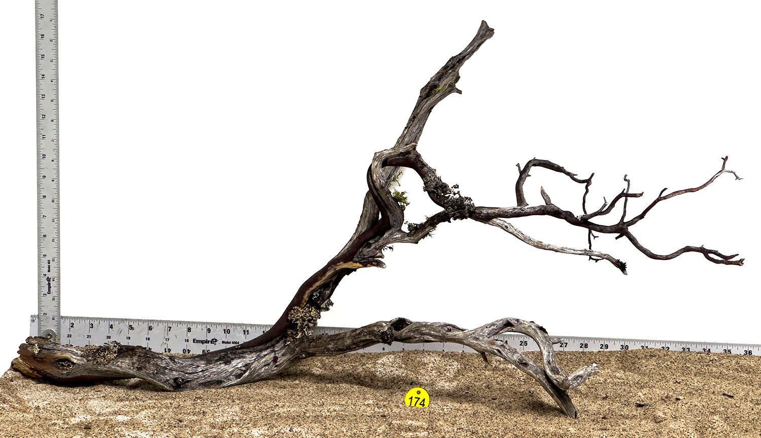 Natural Manzanita Wood Branches (XXL) - Perfect for Reptile Habitats, Aquariums, and Terrarium Decor - High-Quality Driftwood for DIY Projects