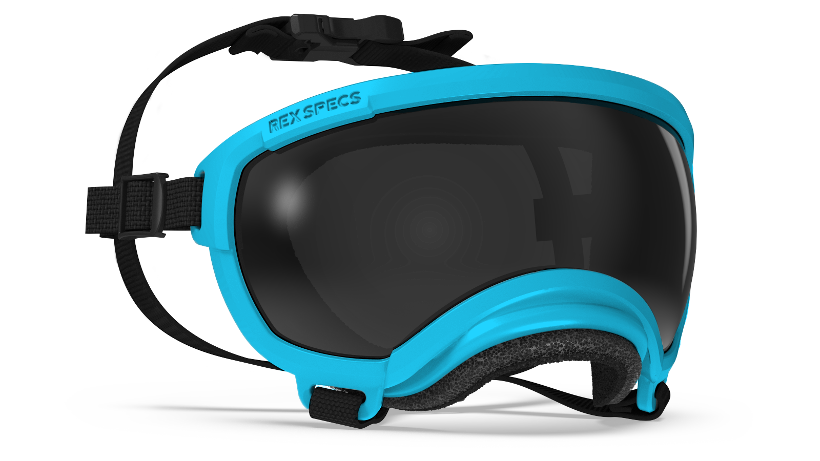 Rex Specs V2 Dog Goggles for Small Dogs Under 7kg - Protective Eyewear for Active Pets, Running, Hiking & Outdoor Adventures