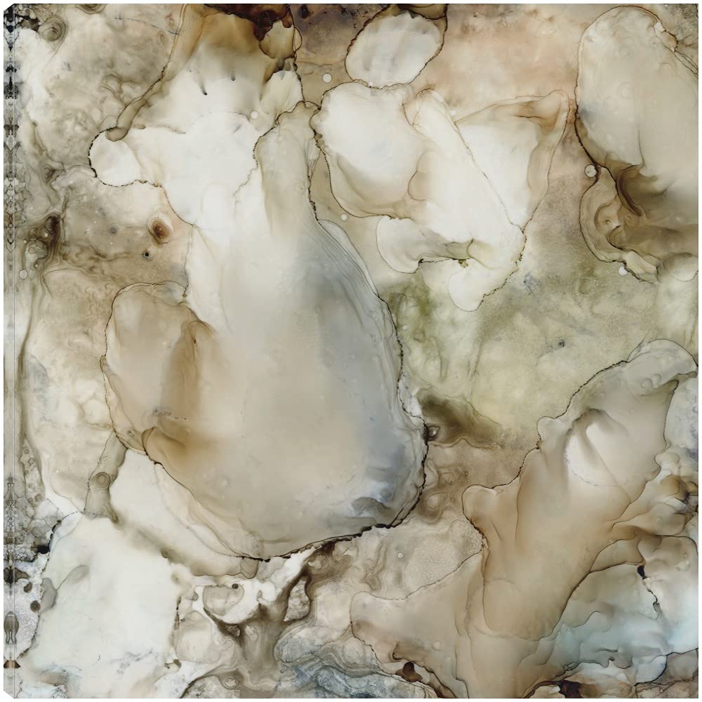Carol Robinson Stonewashed II Fine Art Canvas Wall Decor - 22x22 Inch Ready to Hang Painting for Living Room, Bedroom, Office & More - Perfect for Home, Kitchen, Bathroom & Dining Room Decor