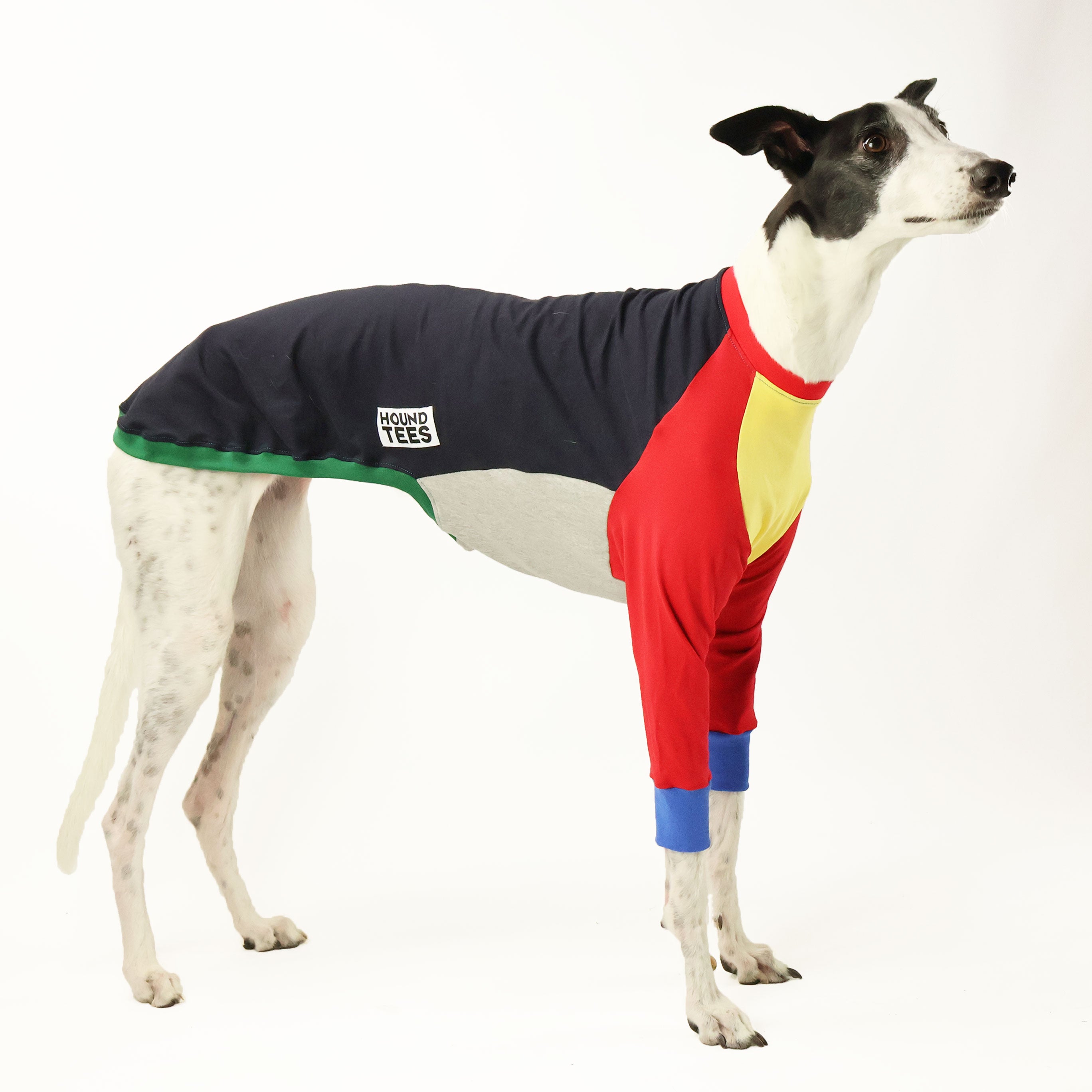 Frankie Jester Greyhound Long Sleeve T-Shirt - Comfortable Dog Lover Apparel for Casual Wear & Outdoor Activities