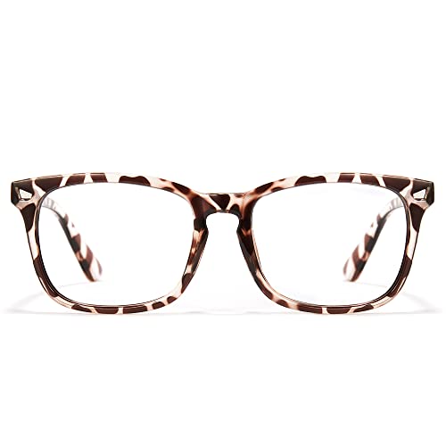 06-leopard