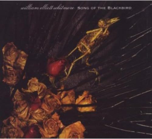 Song of the Blackbird - Beautiful Bird Call Melodies for Relaxation & Nature Sounds | Perfect for Meditation, Yoga, Sleep Aid & Stress Relief