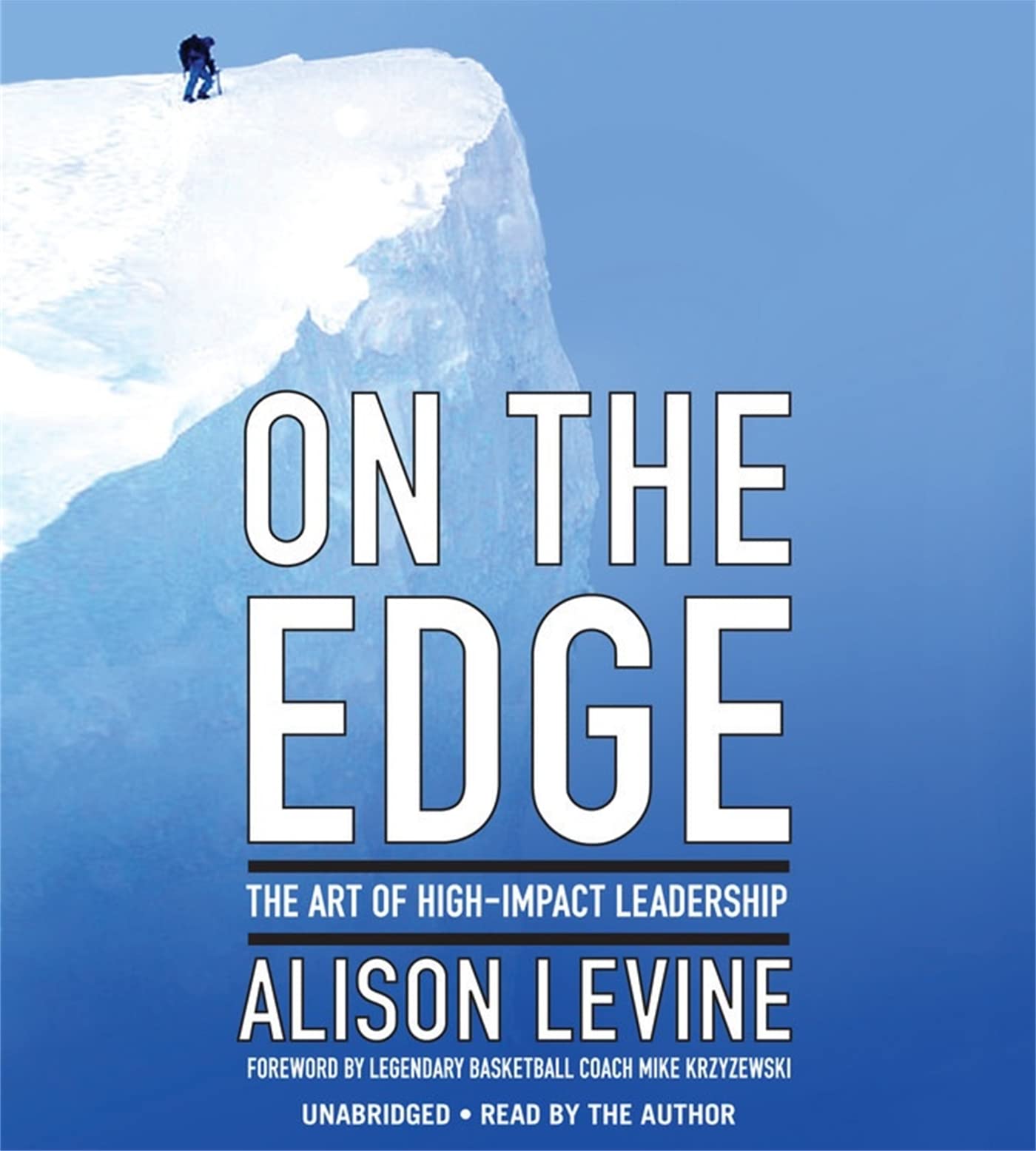 Leadership Lessons from Mount Everest & Extreme Environments - Inspirational Guide for Business & Adventure