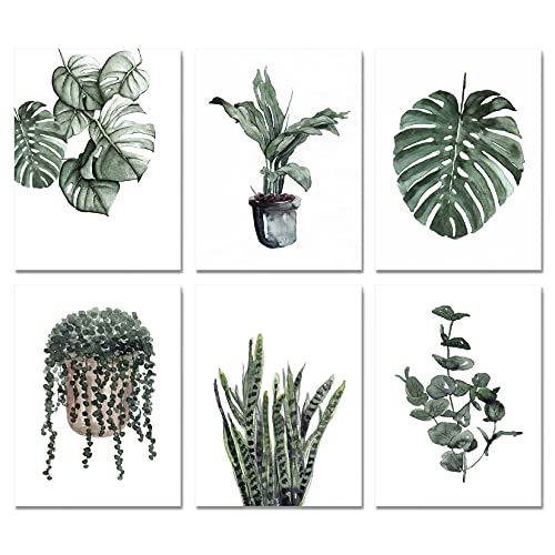 D/ Dark Green