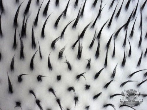 2 Tone Spike Faux Fur Fabric - White & Black Soft Plush Material for DIY Crafts, Costumes, Home Decor & Fashion Accessories