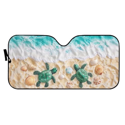 Beach Sea Turtle