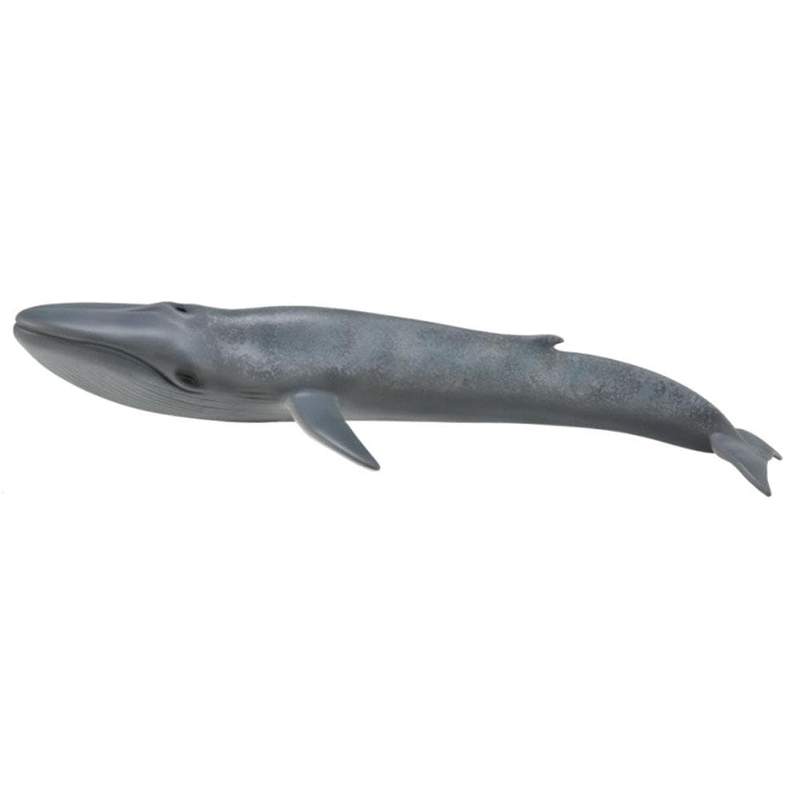 CollectA Blue Whale Figurine - Realistic Ocean Animal Toy for Kids, Educational Marine Life Model for Play & Display | Perfect for Birthday Gifts, Classroom Learning & Ocean-Themed Decor