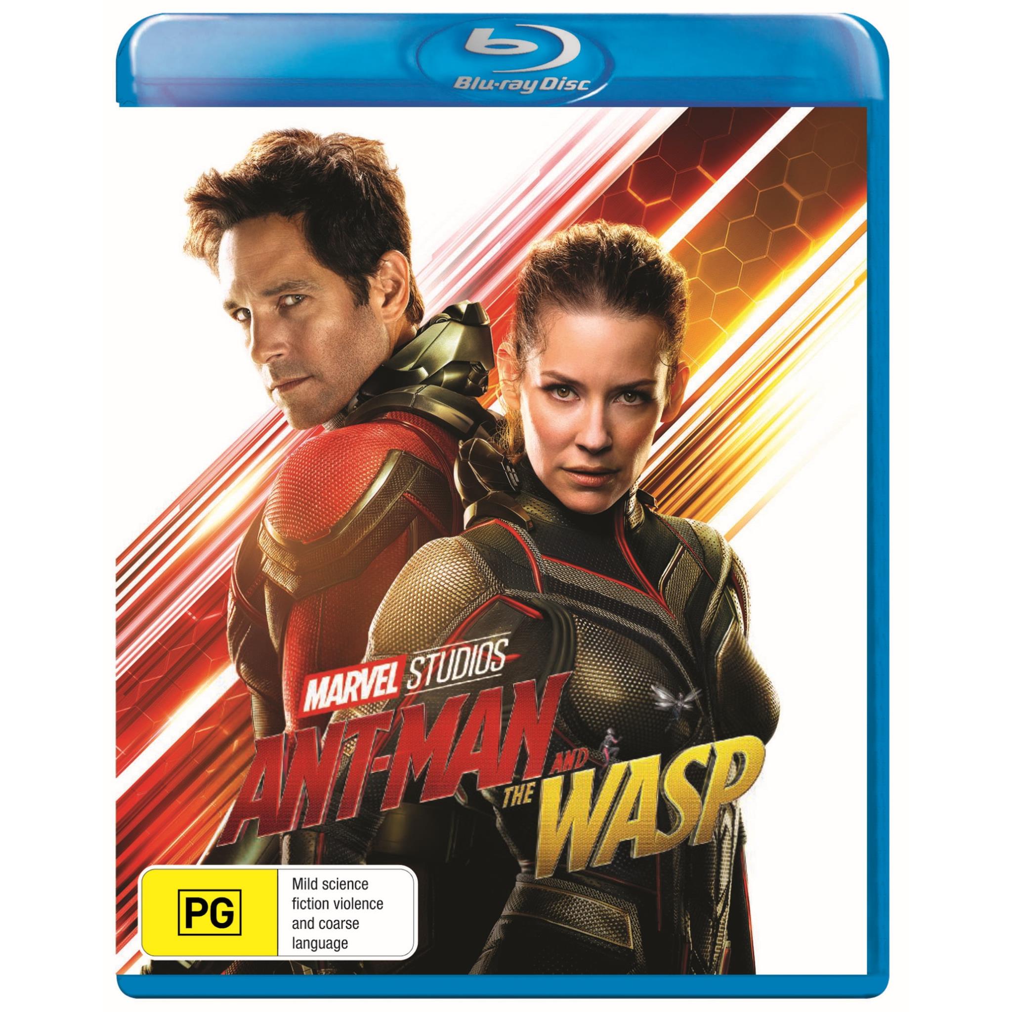 Ant-Man & The Wasp Marvel Action Figures - Collectible Superhero Toys for Kids & Adults | Perfect for Display, Gifts & Marvel Movie Fans