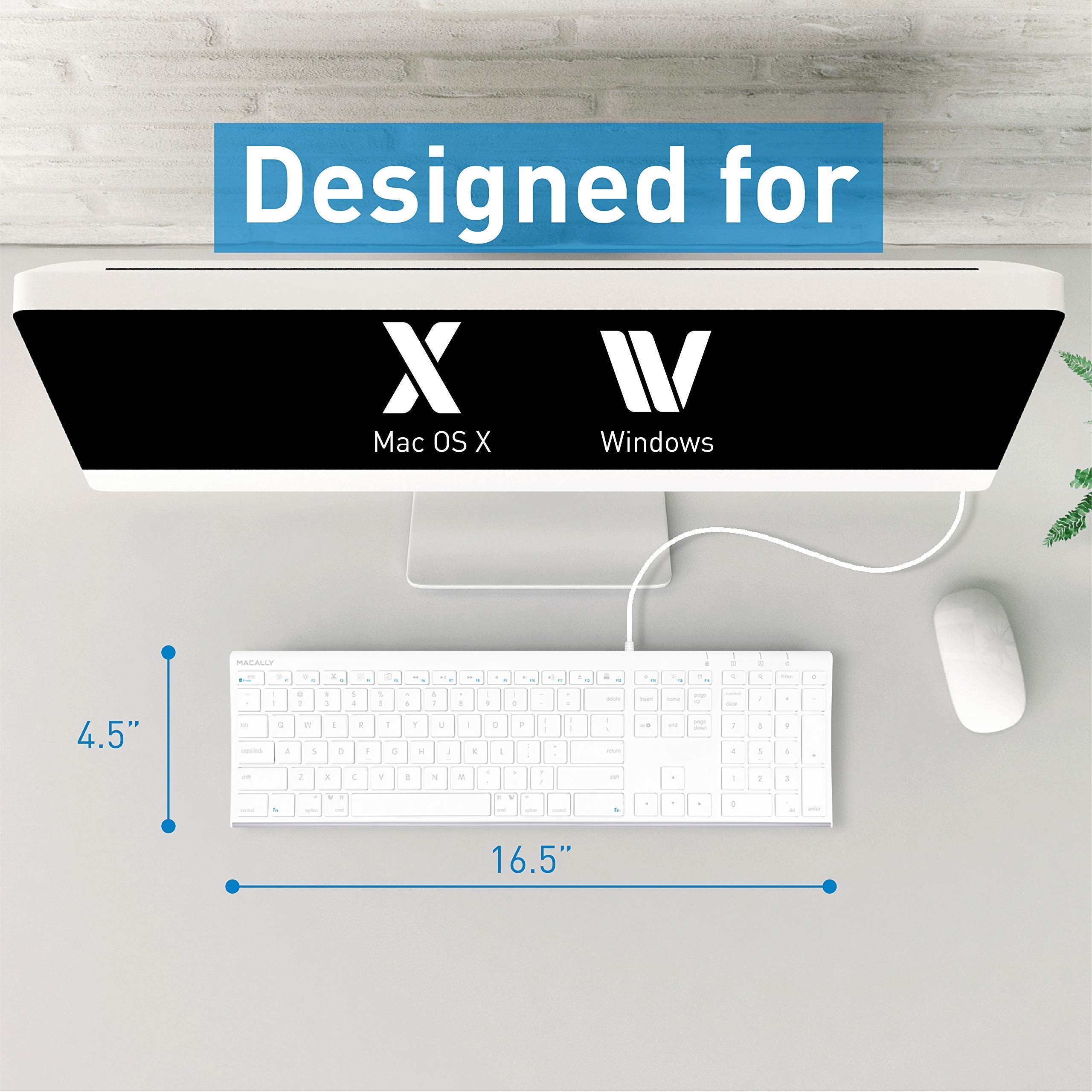 Macally Ultra Slim Wired Keyboard & Silent Mouse Combo with Ergonomic Laptop Stand - Perfect for Home Office, Remote Work & Productivity Setup