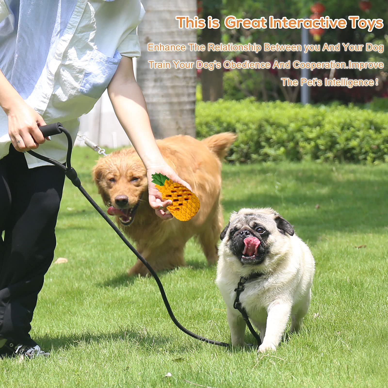 Durable Puppy Chew Toys for Small Dogs 5-30 lbs - Tough Indestructible Dental Chew Toys for Moderate Chewers - Perfect for Teething, Boredom Relief & Dental Health (XSmall Size)