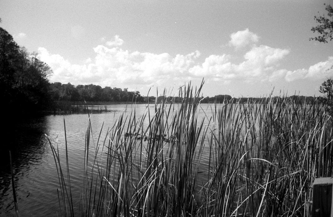 Svema Foto 200 35mm Black & White Film Roll (ISO 200) - Perfect for Street Photography, Vintage Cameras & Analog Enthusiasts