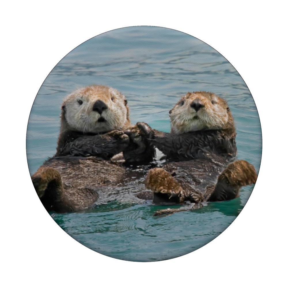 PopSockets Expandable Phone Grip with Sea Otters Holding Hands Design - Black - Compatible with Most Smartphones & Smooth Plastic Cases - Perfect for Secure Grip, Selfies, and Everyday Use
