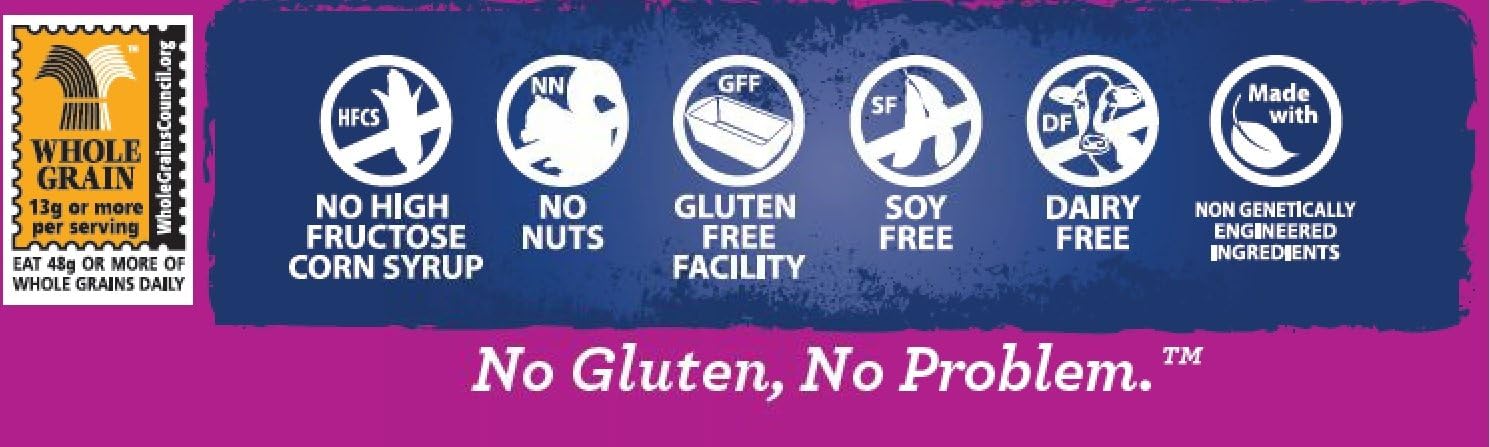Franz Bakery Gluten Free Raisin Bread - 2 Pack (2 x 20oz) | Healthy Breakfast & Snack | Perfect for Celiac Diet, Vegan Lifestyle & Allergy-Friendly Baking