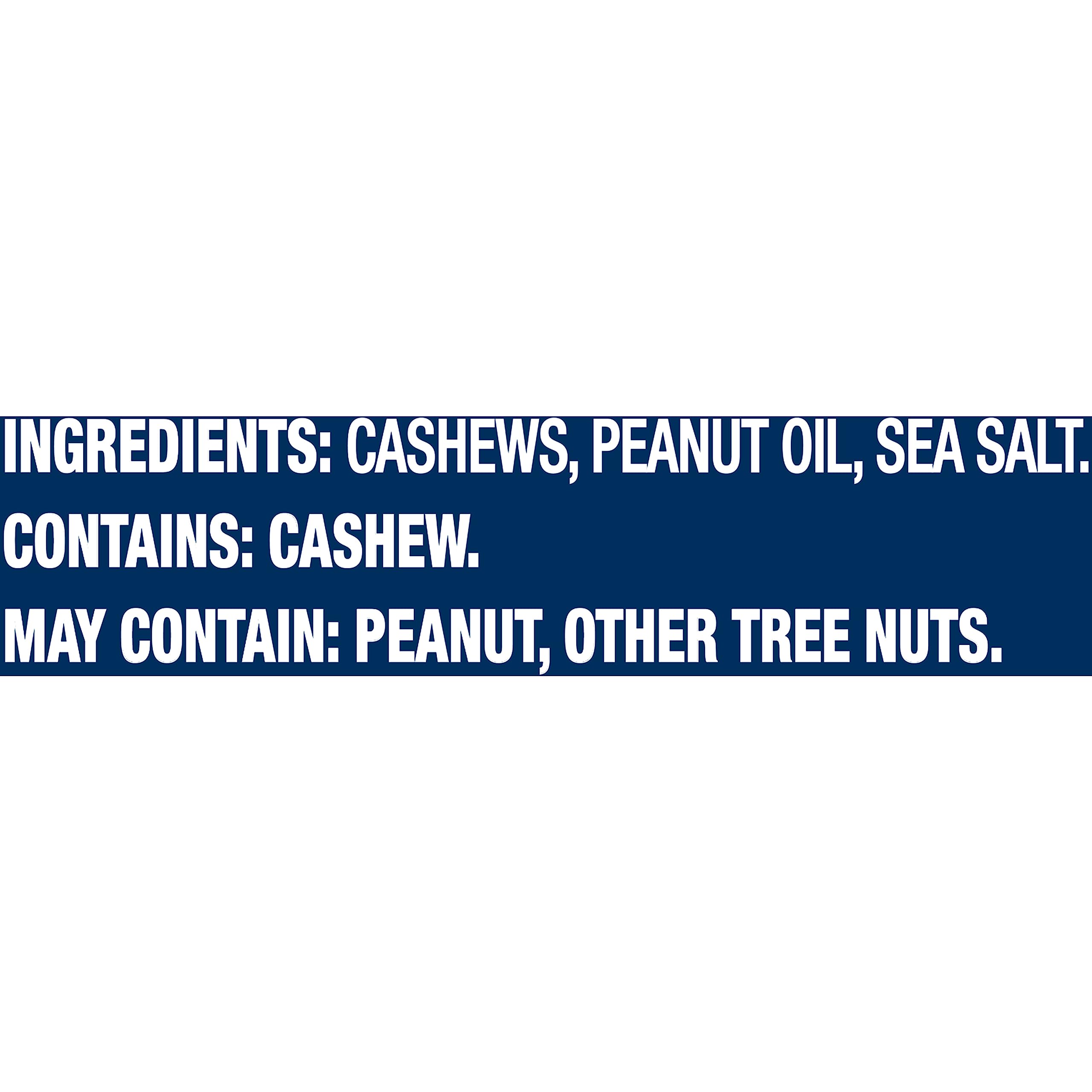 Planters Lightly Salted Whole Cashews (8.5 oz Canister) - Premium Quality Unsalted Cashew Nuts for Snacking, Baking & Cooking - Perfect for Office Snacks, Trail Mix & Healthy Recipes