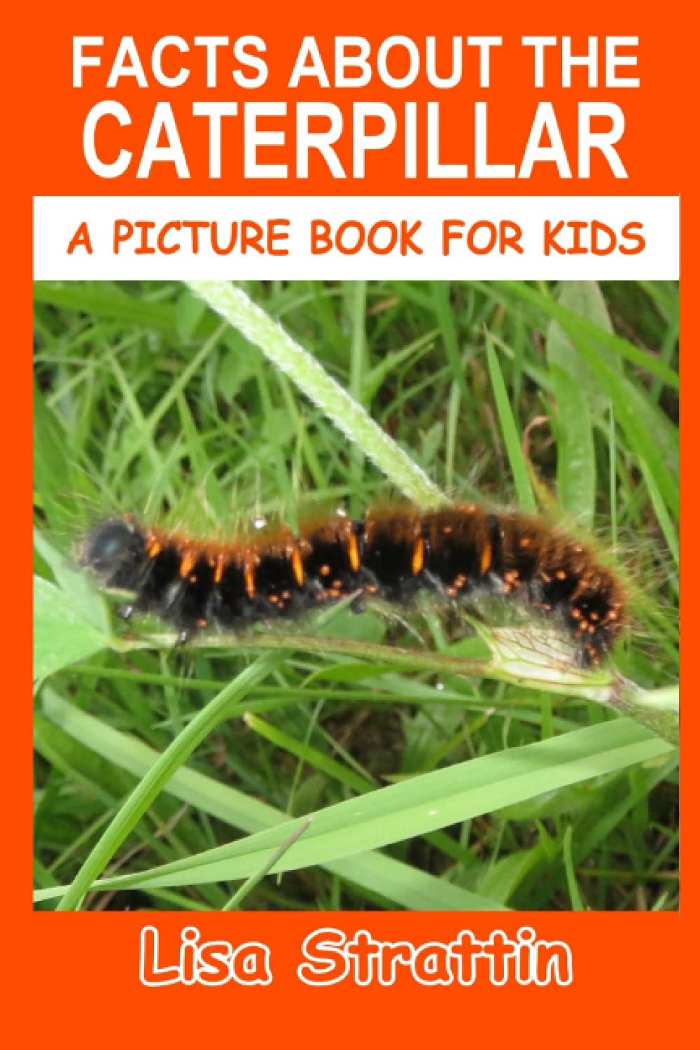 **Fun Facts About Caterpillars - Educational Picture Book for Kids | Learn About Butterfly Life Cycle & Nature Exploration**