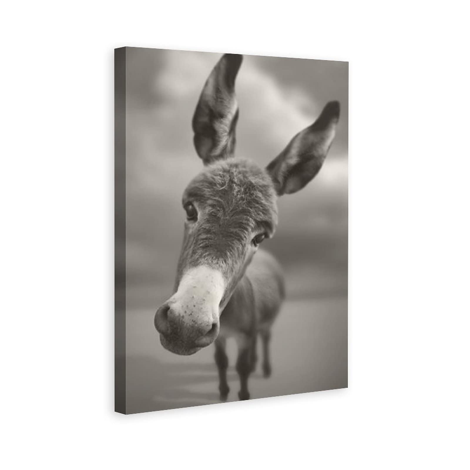 Black and White Little Donkey Canvas Wall Art - 20x30 Inch Animal Painting for Living Room, Bedroom & Office Decor | Landscape Sports Theme Home Gift | Modern Farmhouse & Nursery Decor Scenes