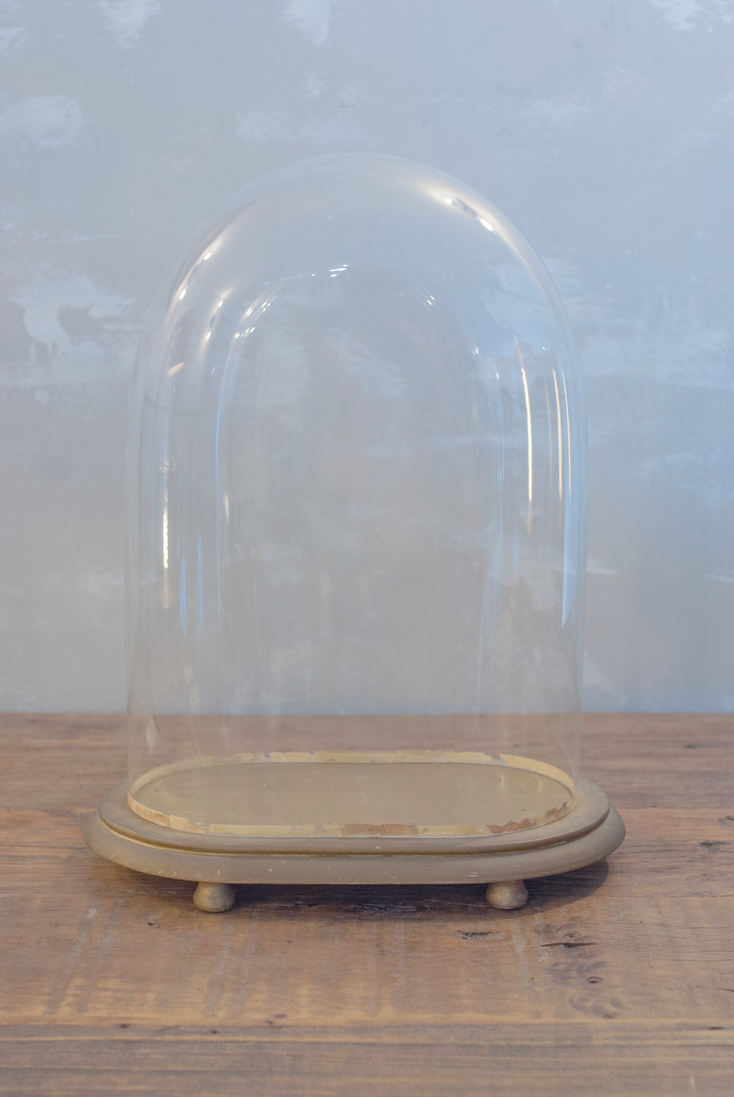 Antique Glass Cloches for Plants - Victorian Style Bell Jars for Terrariums, Cakes, and Home Decor - Perfect for Wedding Centerpieces and Garden Displays