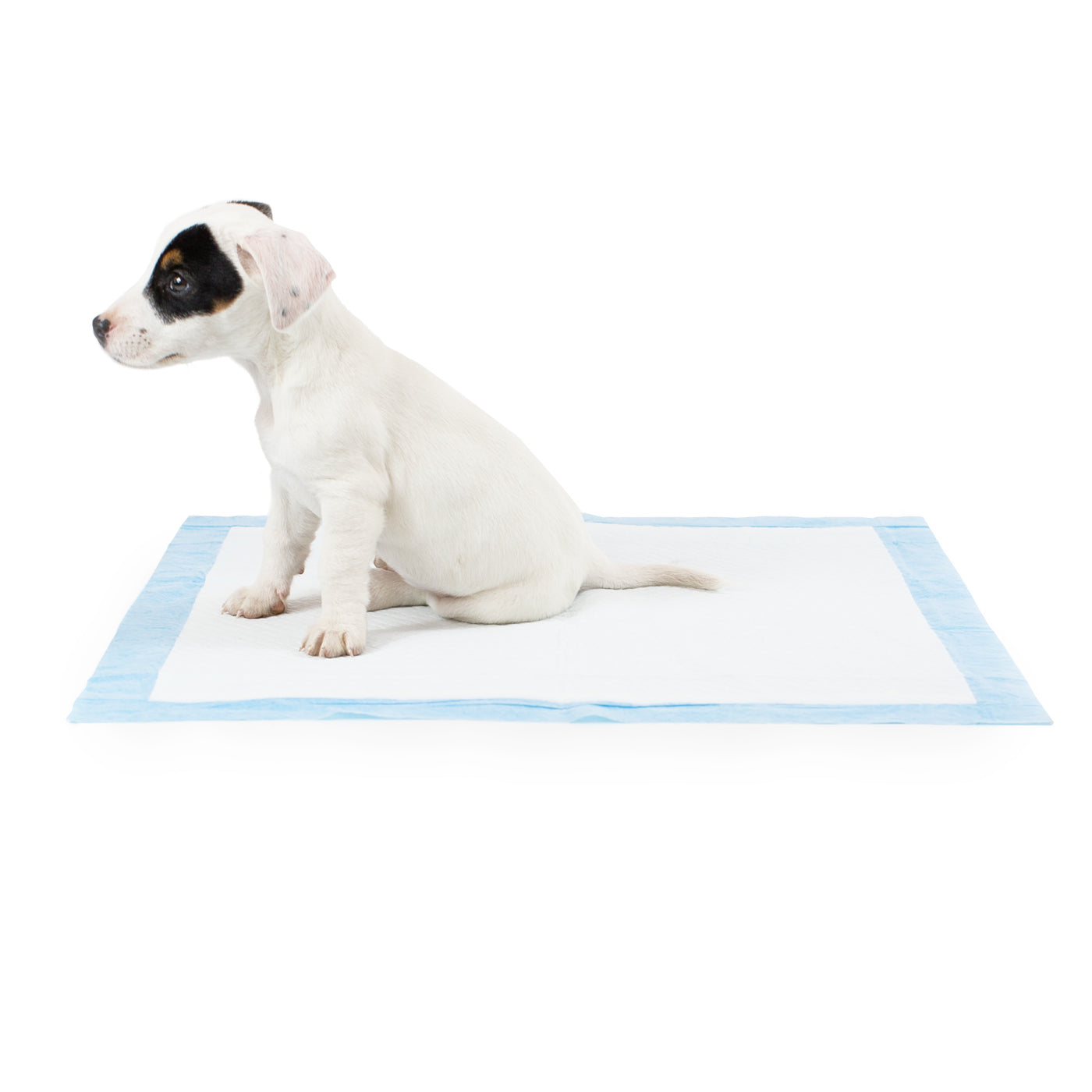 Premium Puppy Training Pads - Super Absorbent Leak Proof Triple Pack for Small & Large Dogs - Perfect for Housebreaking, Crate Training & Travel Use
