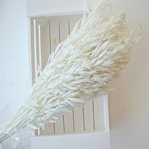 30pcs White