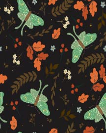 Moths and Leaves