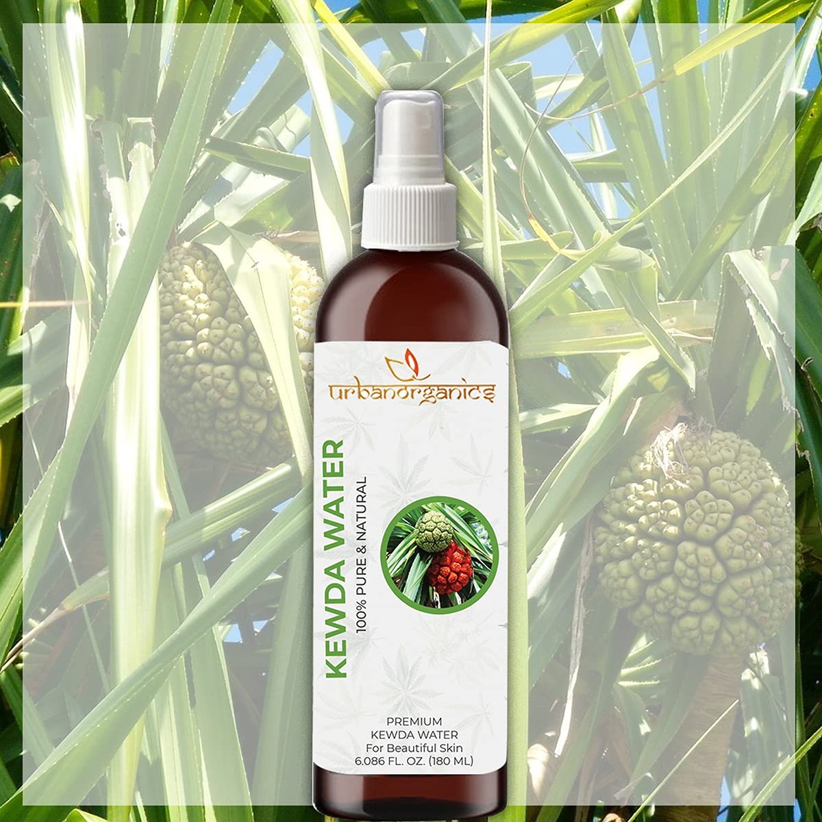 Urbanorganics Pure & Natural Kewda/Kewra Water Face Toner - 180ml Chemical-Free for Glowing Skin & Hydration | Perfect for Daily Skincare Routine & Post-Workout Refreshment