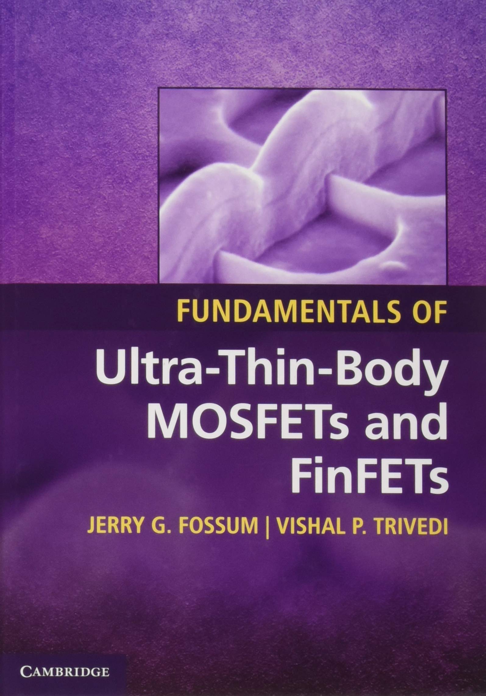 Fundamentals of Ultra-Thin-Body MOSFETs and FinFETs - Advanced Semiconductor Devices for Next-Gen Electronics & IoT Applications