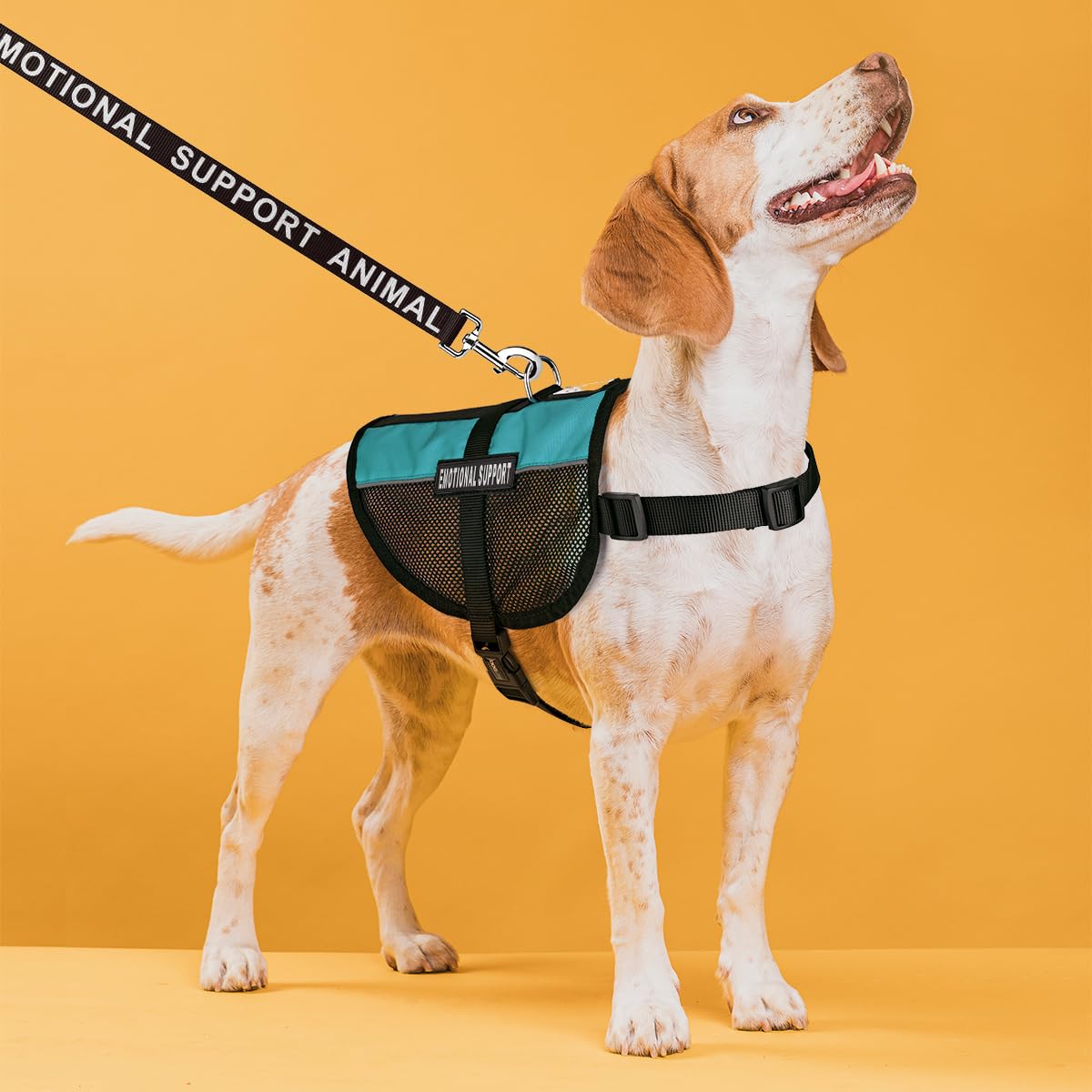 Adjustable Emotional Support Dog Vest Bundle with Reflective Harness, ESA Patches, Leash & ID Card - Service Dog Gear for Anxiety Relief & Public Outings