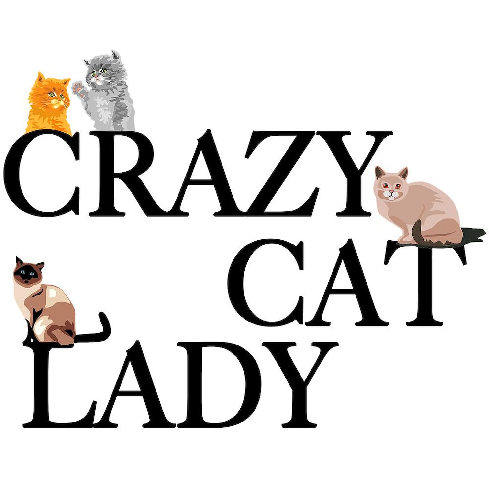 Crazy Cat Lady 11 oz (325 ml) Ceramic Coffee Mug - Funny Cat Lover Gift for Women, Best Friend, Mom | Perfect for Tea, Hot Chocolate & Office Use