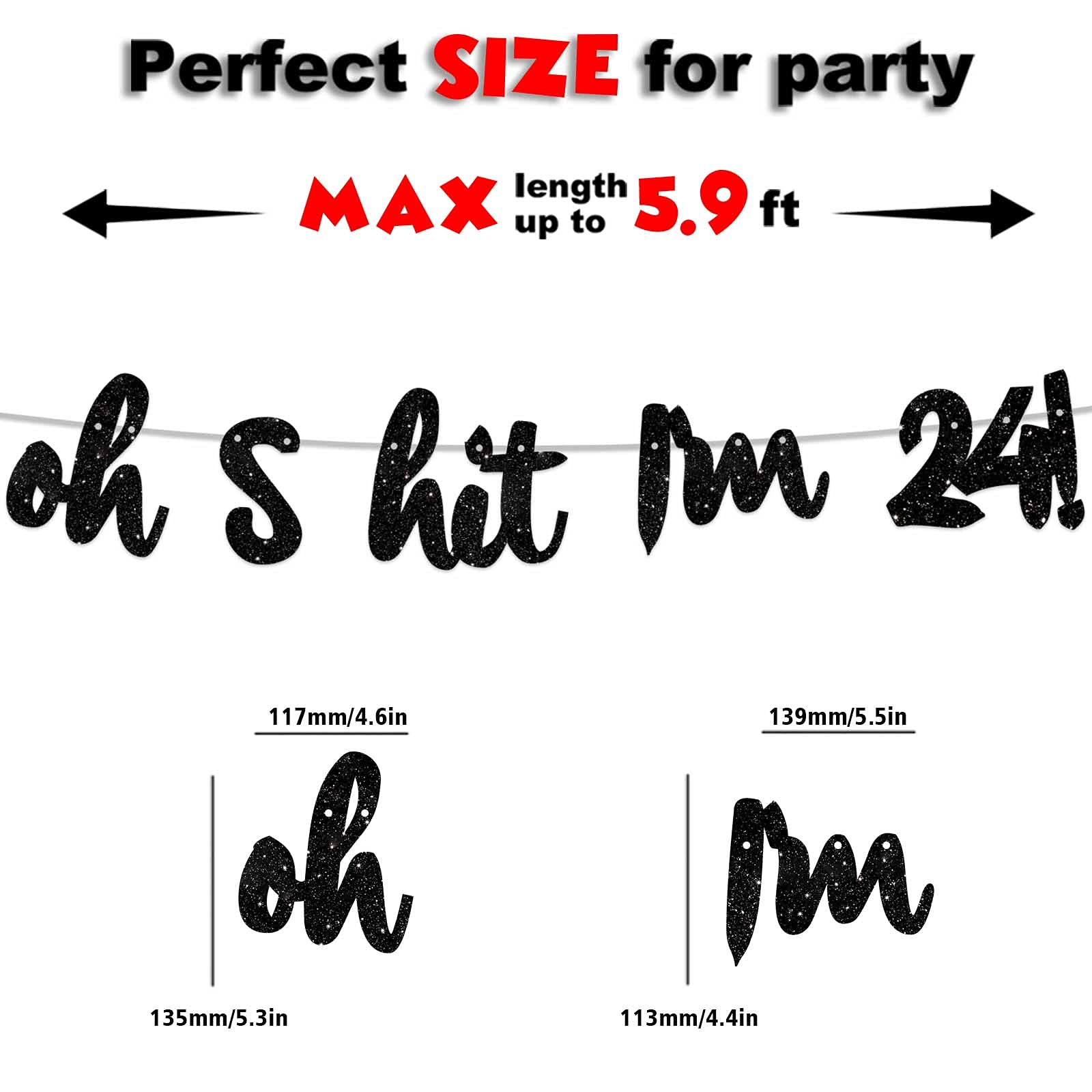 24th Birthday Banner Backdrop - Glitter Black 'Cheers to 24 Years' Theme Decor for Men & Women | Happy Birthday Party Photo Studio Prop, Flag Decorations & Party Supplies | Perfect for 24th Birthday Celebrations, Photo Booths & Milestone Decor
