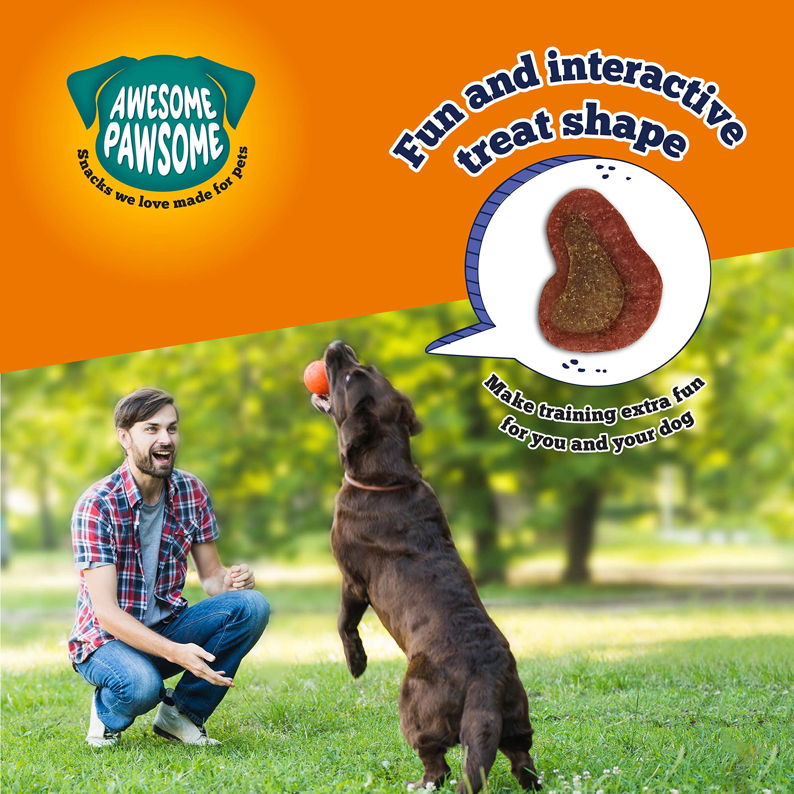 Premium All-Natural Grain-Free Beefy Bites Crunchy Dog Treats - Healthy Snacks for Puppies & Adult Dogs - Fun Bite-Sized Shapes - Made in New Zealand - 15oz - Perfect for Training Rewards & Daily Treats