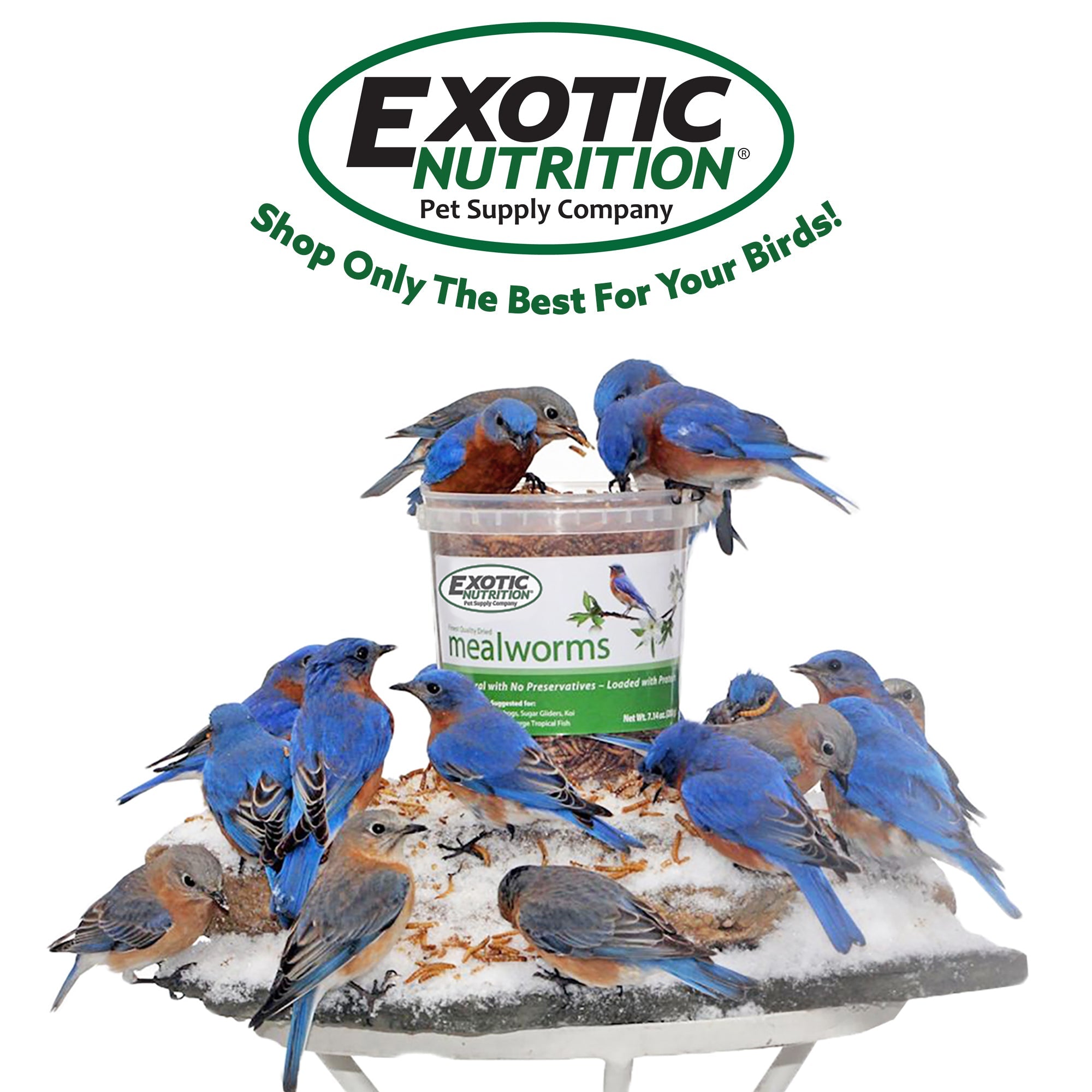 Ez Worms - Premium Live Fishing Bait for Bass, Trout & Panfish - Fresh & Nutritious Worms for Fishing Enthusiasts - Perfect for Freshwater & Saltwater Fishing Trips