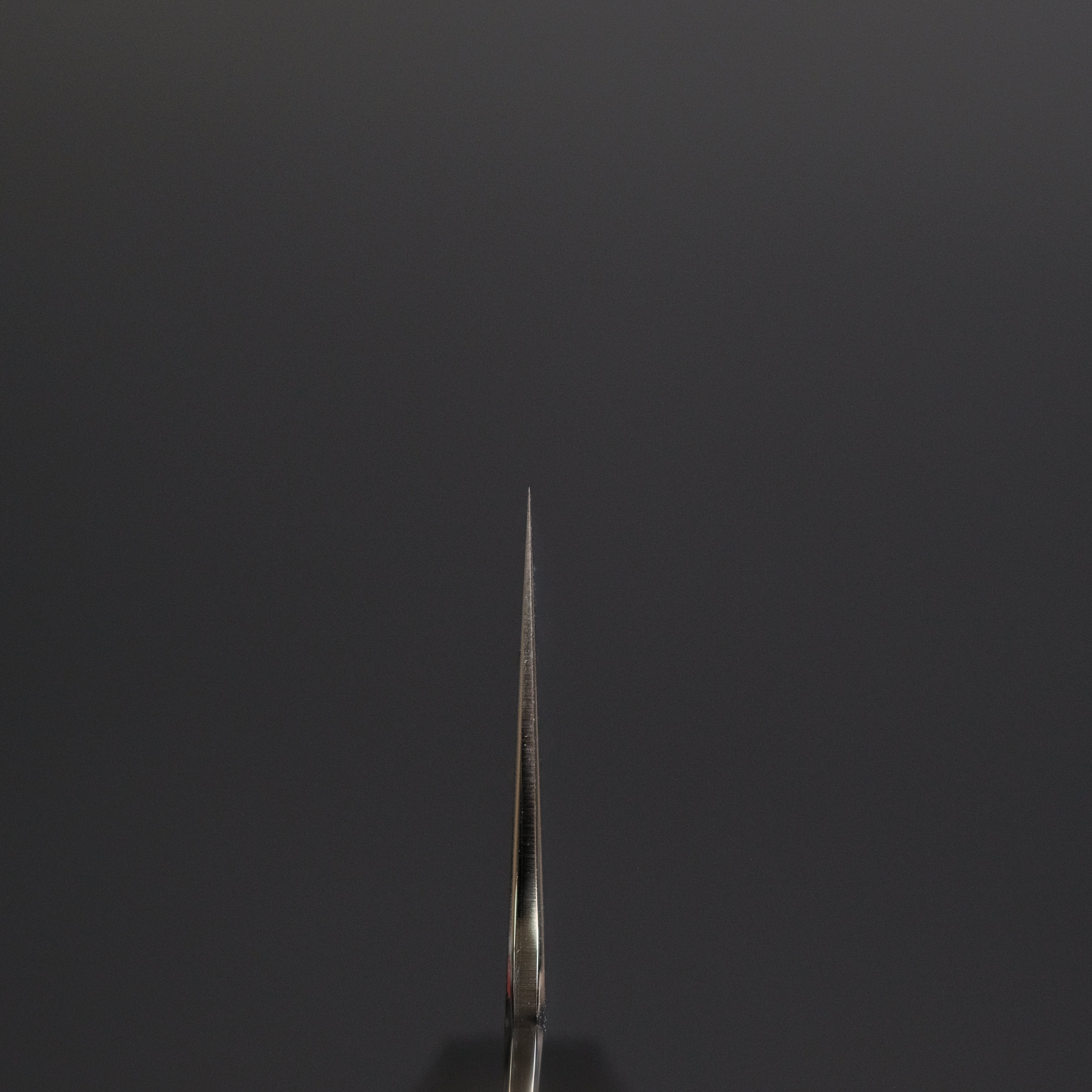 Premium Tetsujin Silver #3 Kasumi Kiritsuke Gyuto 210mm Japanese Chef Knife with Taihei Makassar Ebony Handle - Perfect for Sushi, Sashimi & Precision Cutting