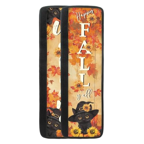Fall Maple Cats