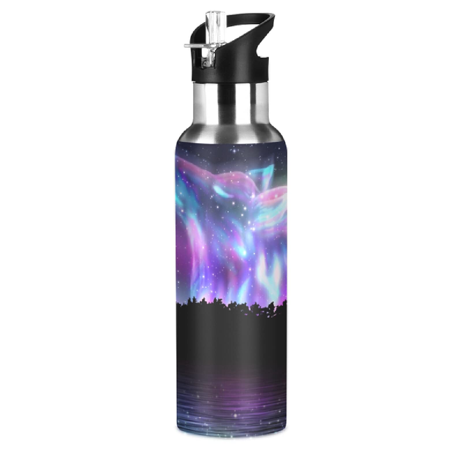 Starry Sky Wolf Aurora Borealis Stainless Steel 600ml Water Bottle - Leak Proof, Insulated, BPA Free - Perfect for Gym, School, Hiking & Outdoor Activities - Kids & Adults Water Bottle with Carabiner Clip
