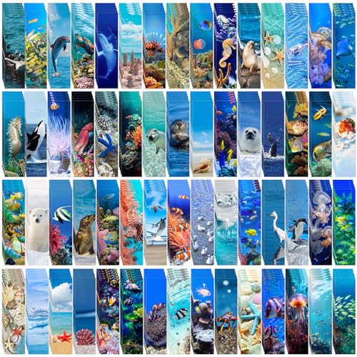 300 Ocean