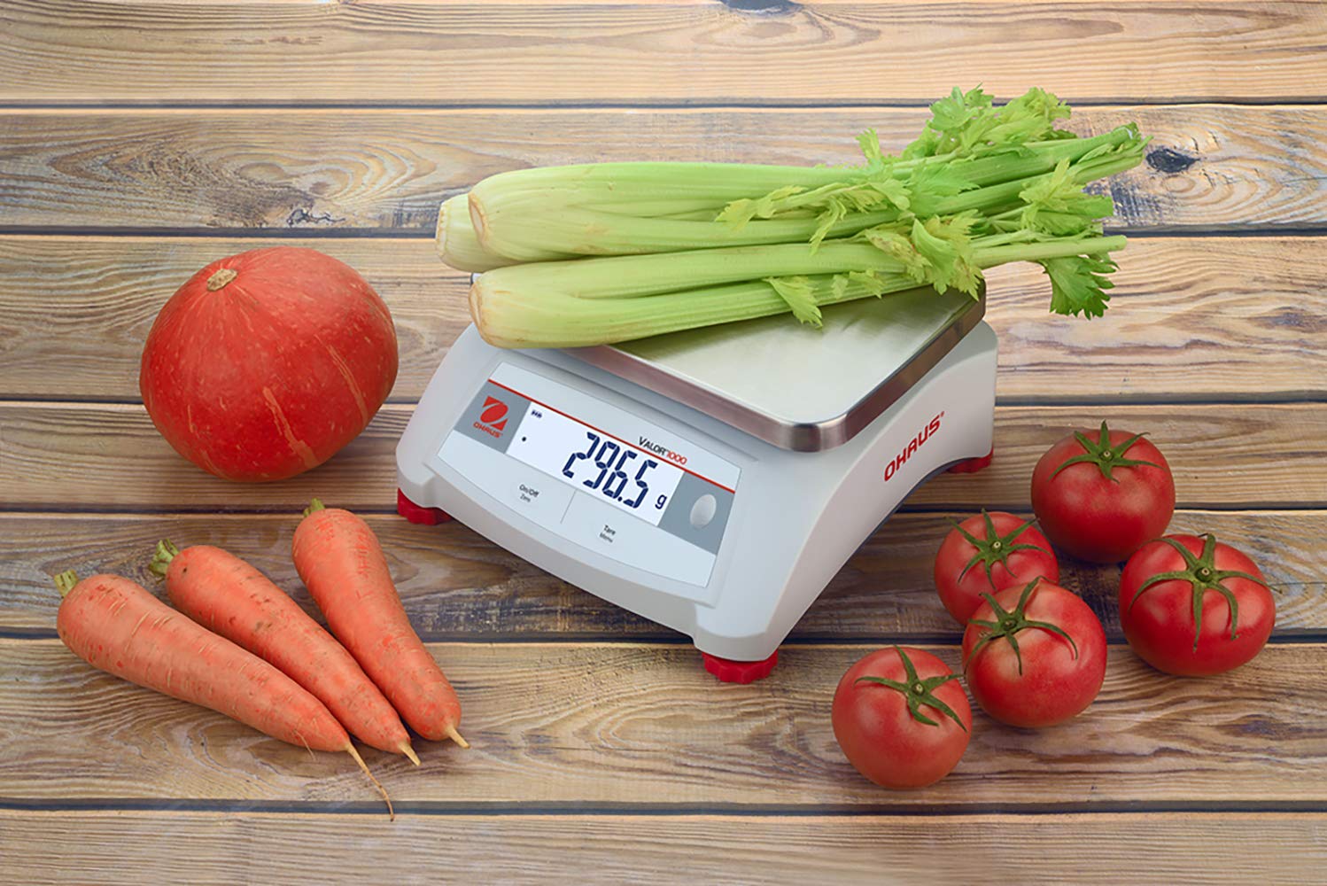 Ohaus Valor 1000 V12P6 (30539391) Compact Bench Scale - 15 lb Capacity, 0.002 lb Precision - Perfect for Shipping, Packaging, and Small Business Inventory Management
