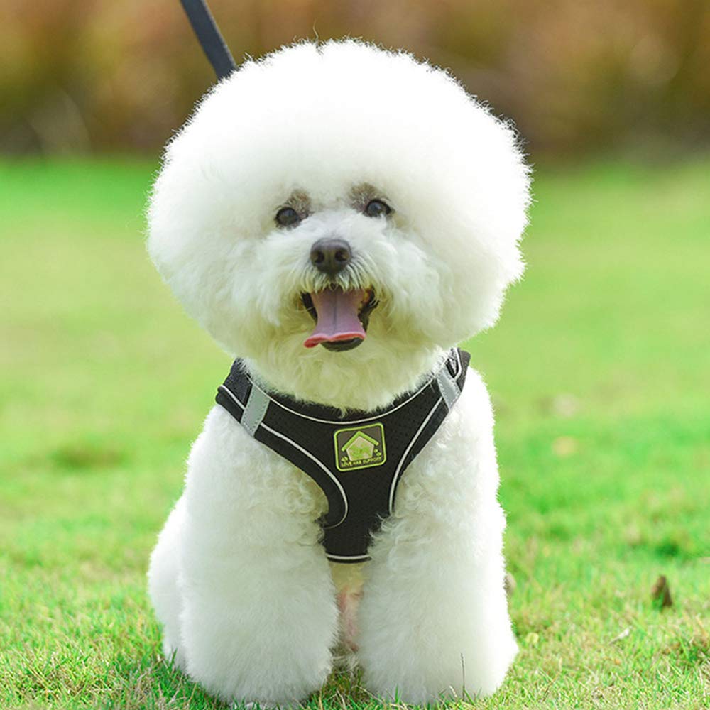 **Leconpet Step-in Dog Harness & Leash Set - Reflective Mesh Vest for Small & Medium Dogs & Puppies, Adjustable & Breathable (Black, XS) - Perfect for Walking, Training & Outdoor Adventures**