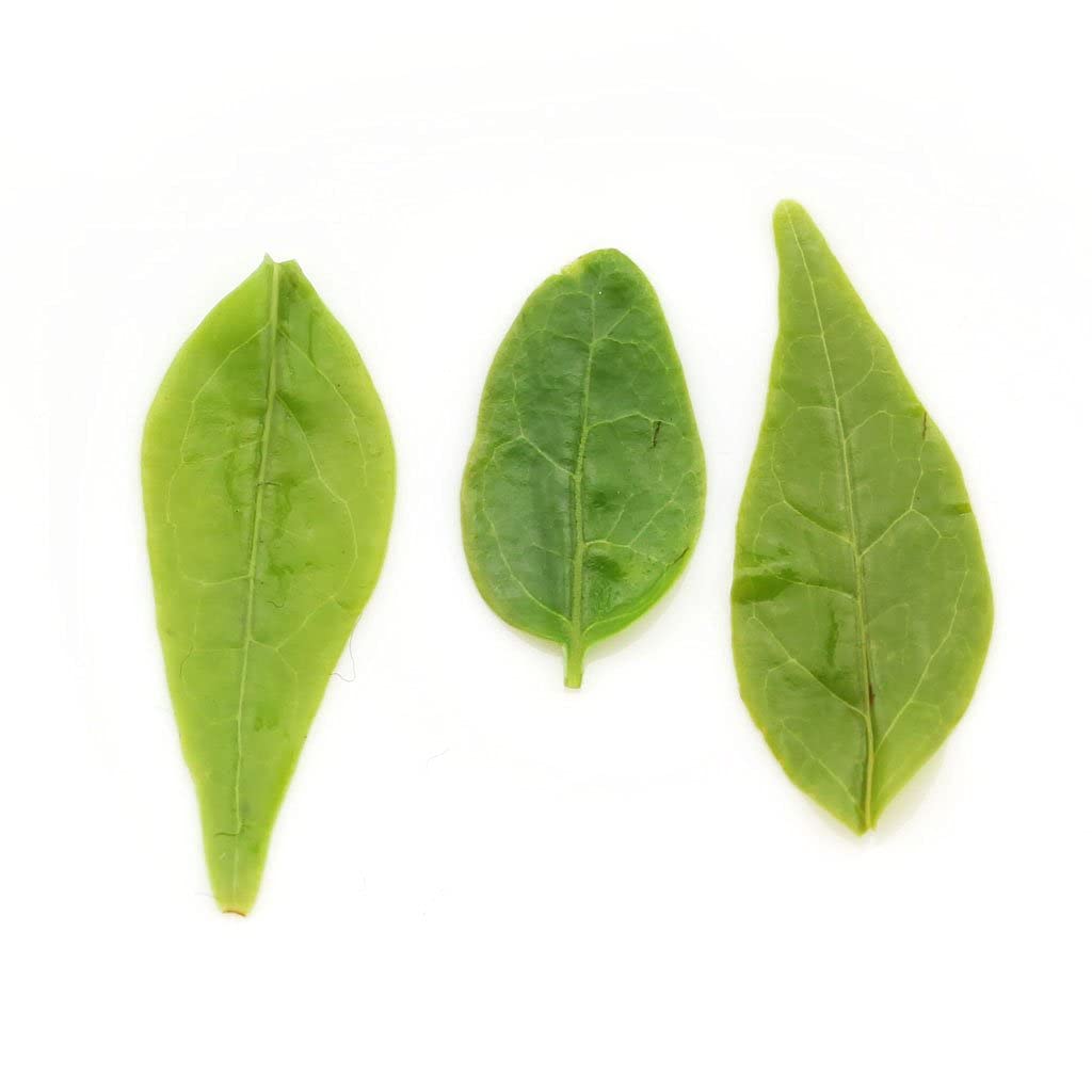 Premium Ku Ding Tea 4 Pack (250g/8.8oz Each) | Supreme Grade Bitter Green Herbal Tea | Chinese Qing Shan Lu Shui Loose Leaf | Antioxidant Rich, Detox Tea for Weight Loss & Digestion | Perfect for Morning Energy or Afternoon Relaxation