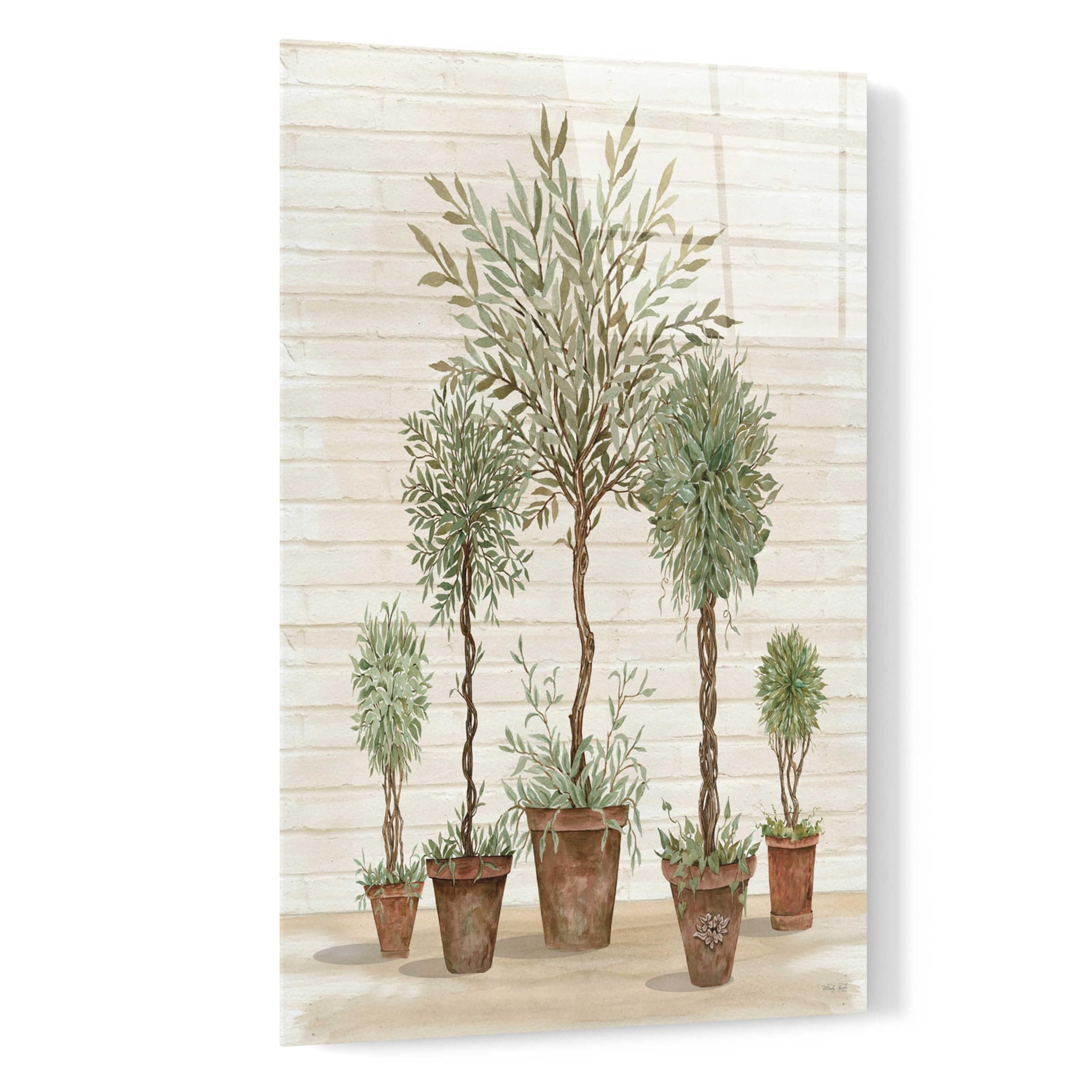 Epic Art 'Potted Tree Collection' by Cindy Jacobs - 16