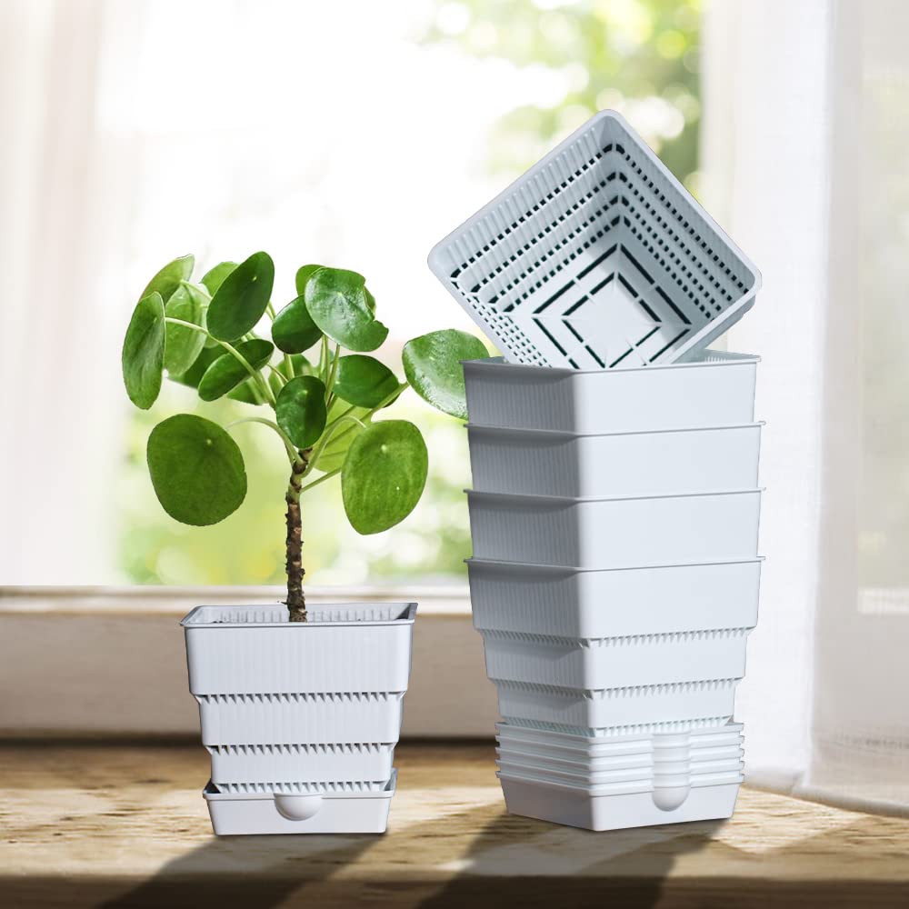 6-Pack 4 Inch Square Plastic Succulent Plant Pots with Drainage Trays - Indoor Flower Planters for Snake Plants, African Violets, Herbs & Houseplants - Perfect for Windowsills, Desks & Home Decor