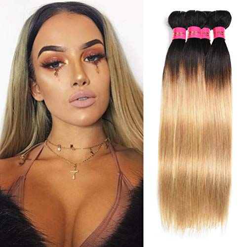 Ombre Blonde(1b/27#)